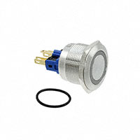 E-Switch - PV7F2T0SS-3R1 - SWITCH PUSHBUTTON DPST 2A 48V