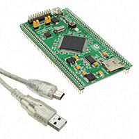 MikroElektronika - MIKROE-650 - MIKROBOARD FOR ARM 144-PIN