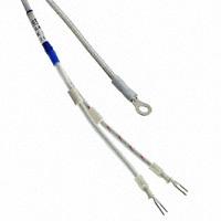 Omron Automation and Safety - E52-CA1GTY 2M - TEMPERATURE SENSOR