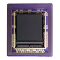 ON Semiconductor - NOIL1SE3000A-GDC - IC IMAGE SENSOR 3MP 369-PGA