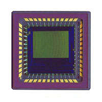 ON Semiconductor - NOIL1SM0300A-WWC - IC IMAGE SENSOR LUPA300 48LLC