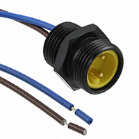 Phoenix Contact - 1417763 - CBL CIRC 2POS MALE TO WIRE LEADS