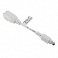 Tensility International Corp - 10-00779 - CBL USB B RCPT-MNI B PLUG 100MM