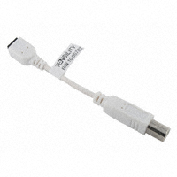 Tensility International Corp - 10-00782 - CBL USB MNI B RCPT-B PLUG 100MM