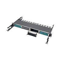 Tripp Lite - N484-12M24 - FIBER PATCH PANEL