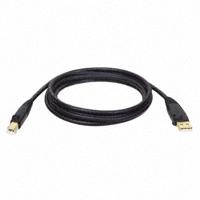 Tripp Lite - U022-010 - CABLE USB 2.0 A-MALE B-MALE 10'