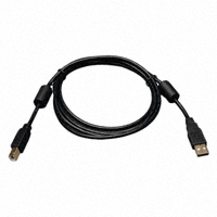 Tripp Lite - U023-006 - USB 2.0 A MALE B MALE