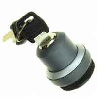 RAFI USA - 1.30255.4320000 - KEYLOCK SWITCH RND LATCH 2X90